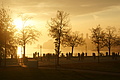 DSC00256 - Bernhard Saalfeld