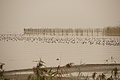 DSC00258 - Bernhard Saalfeld