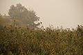 DSC00266 - Bernhard Saalfeld