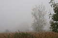 DSC00268 - Bernhard Saalfeld