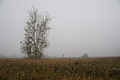 DSC00269 - Bernhard Saalfeld