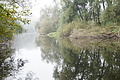 DSC00270 - Bernhard Saalfeld