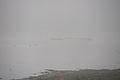 DSC00272 - Bernhard Saalfeld