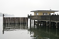 DSC00290 - Bernhard Saalfeld