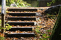 DSC00361 - Bernhard Saalfeld