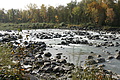 DSC00368 - Bernhard Saalfeld