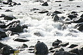 DSC00371 - Bernhard Saalfeld
