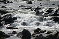 DSC00373 - Bernhard Saalfeld