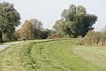 DSC00378 - Bernhard Saalfeld