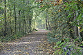DSC00380 - Bernhard Saalfeld