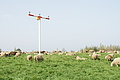 DSC00392 - Bernhard Saalfeld