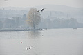 DSC00395 - Bernhard Saalfeld
