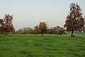 DSC00406 - Bernhard Saalfeld