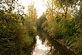 DSC00414 - Bernhard Saalfeld