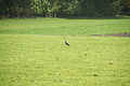 DSC00465 - Bernhard Saalfeld