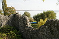 DSC00473 - Bernhard Saalfeld