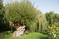 DSC00478 - Bernhard Saalfeld
