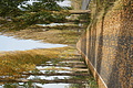 DSC00494 - Bernhard Saalfeld