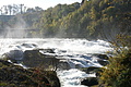DSC00553 - Bernhard Saalfeld
