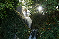 DSC00565 - Bernhard Saalfeld
