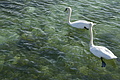 DSC00607 - Bernhard Saalfeld