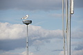 DSC00609 - Bernhard Saalfeld