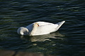 DSC00610 - Bernhard Saalfeld
