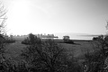 DSC00624 - Bernhard Saalfeld