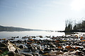 DSC00630 - Bernhard Saalfeld