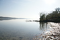DSC00631 - Bernhard Saalfeld