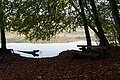 DSC00634 - Bernhard Saalfeld