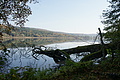 DSC00637 - Bernhard Saalfeld