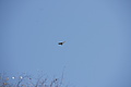 DSC00641 - Bernhard Saalfeld