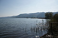 DSC00644 - Bernhard Saalfeld