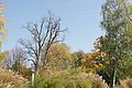 DSC00676 - Bernhard Saalfeld