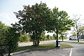DSC04766 - Bernhard Saalfeld