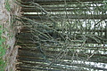 DSC04774 - Bernhard Saalfeld