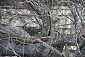DSC04775 - Bernhard Saalfeld