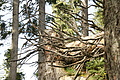 DSC04781 - Bernhard Saalfeld