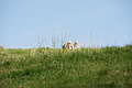 DSC04783 - Bernhard Saalfeld