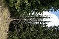 DSC04793 - Bernhard Saalfeld