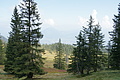 DSC04795 - Bernhard Saalfeld