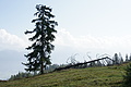 DSC04797 - Bernhard Saalfeld