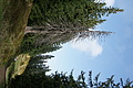 DSC04798 - Bernhard Saalfeld