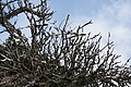 DSC04801 - Bernhard Saalfeld