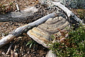 DSC04802 - Bernhard Saalfeld