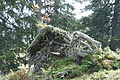DSC04803 - Bernhard Saalfeld