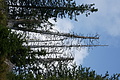 DSC04804 - Bernhard Saalfeld