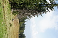 DSC04805 - Bernhard Saalfeld