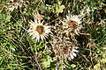 DSC04818 - Bernhard Saalfeld